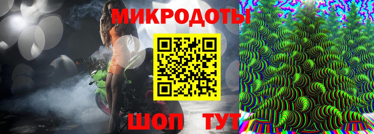 Псилоцибиновые грибы мухоморы Зима